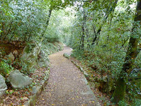 Der bezaubernde Carmen-da-Sylva-Wanderweg über den Orten ist erfrischend, wohlig und in Stille getaucht!