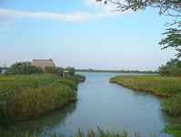 Die Lagune von Caorle ist ein Naturparadies - gut mit FAhrrad oder Schiff erreichbar. Energetisch ein Höhepunkt! Auch Hemingway schrieb und fischte hier!