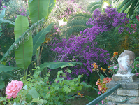 Impressionen aus dem Garten. Ein schattiger Garten zum Verweilen in den Schwimmpausen.