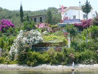 Mitten im Blumenparadies geschmackvoll griechisch essen und dann gleich paar Schritte weiter, zum Schwimmen im angenehm temperierten Meer!